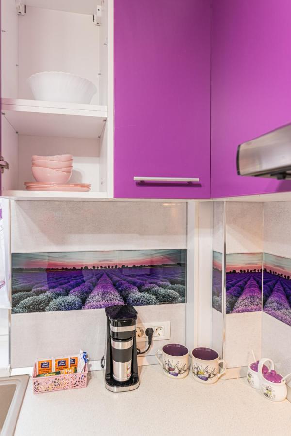 Apartamente Lavender 브라쇼브 외부 사진