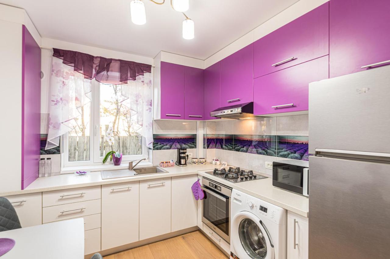Apartamente Lavender 브라쇼브 외부 사진